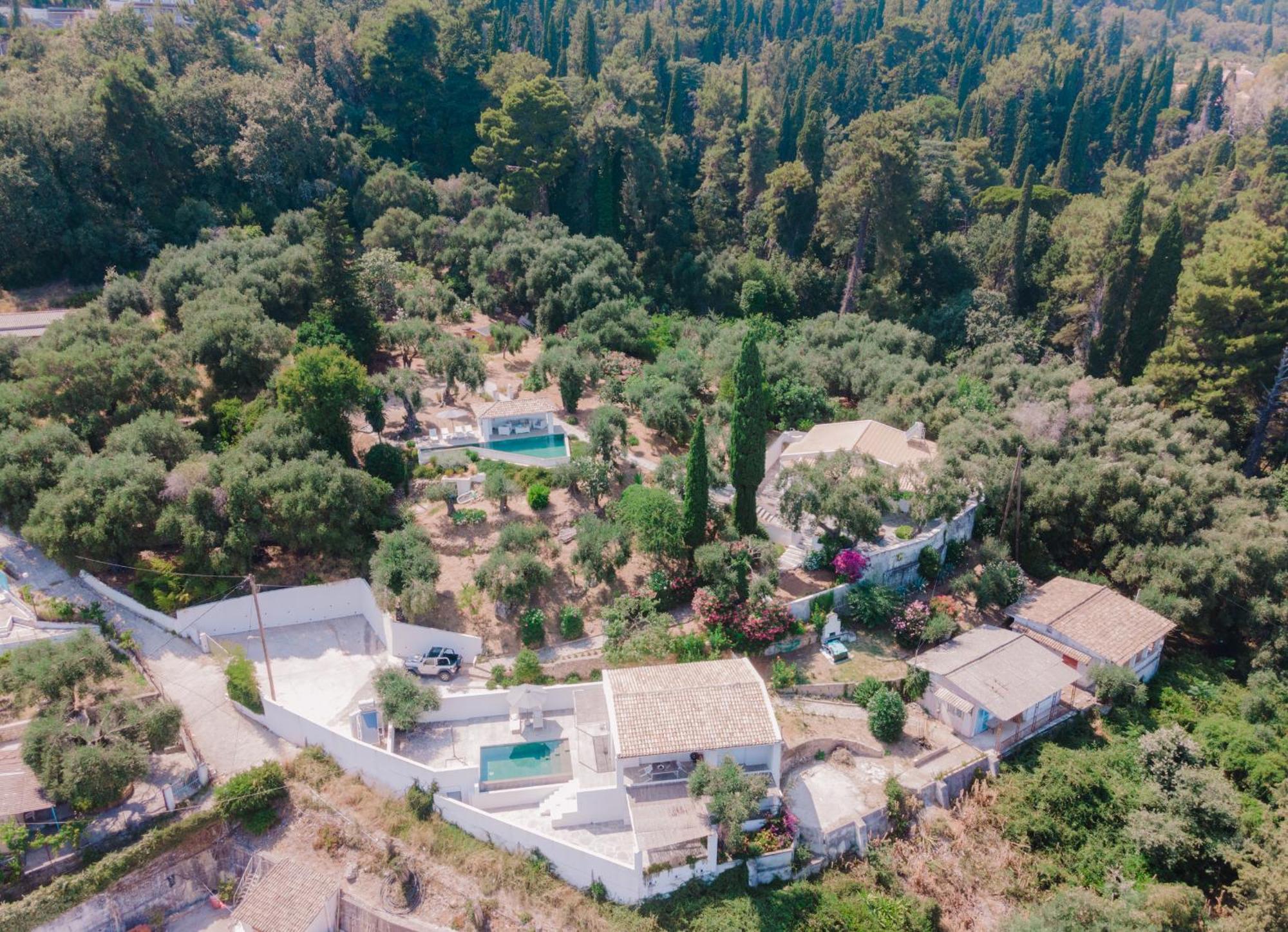 Zoela Corfu - 2 Seperate With Full Privacy Casa vacanze Gastouri (Corfu)
